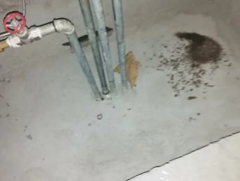 商洛市卫生间测漏水价格明细